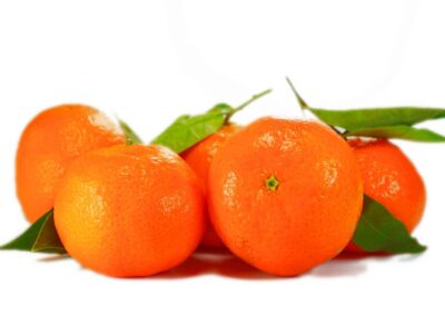 mandarino
