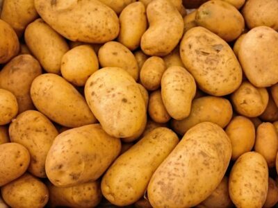 patata