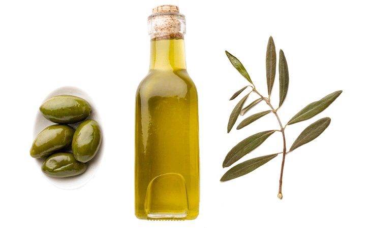 aceiteUP