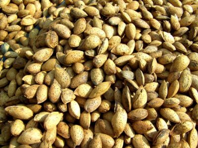 almendra