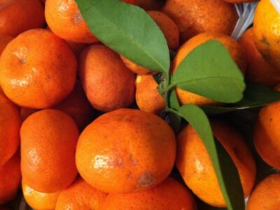 Tangerines