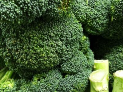 broccoli