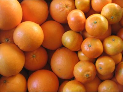 naranja y mandarina