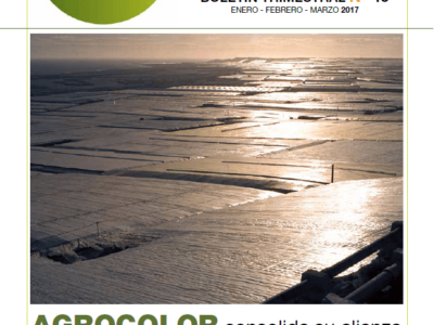 portada 49