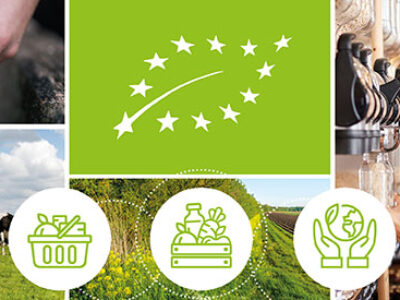 orgnics-action-plan-top-banner_712x275