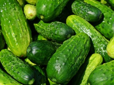 pepino