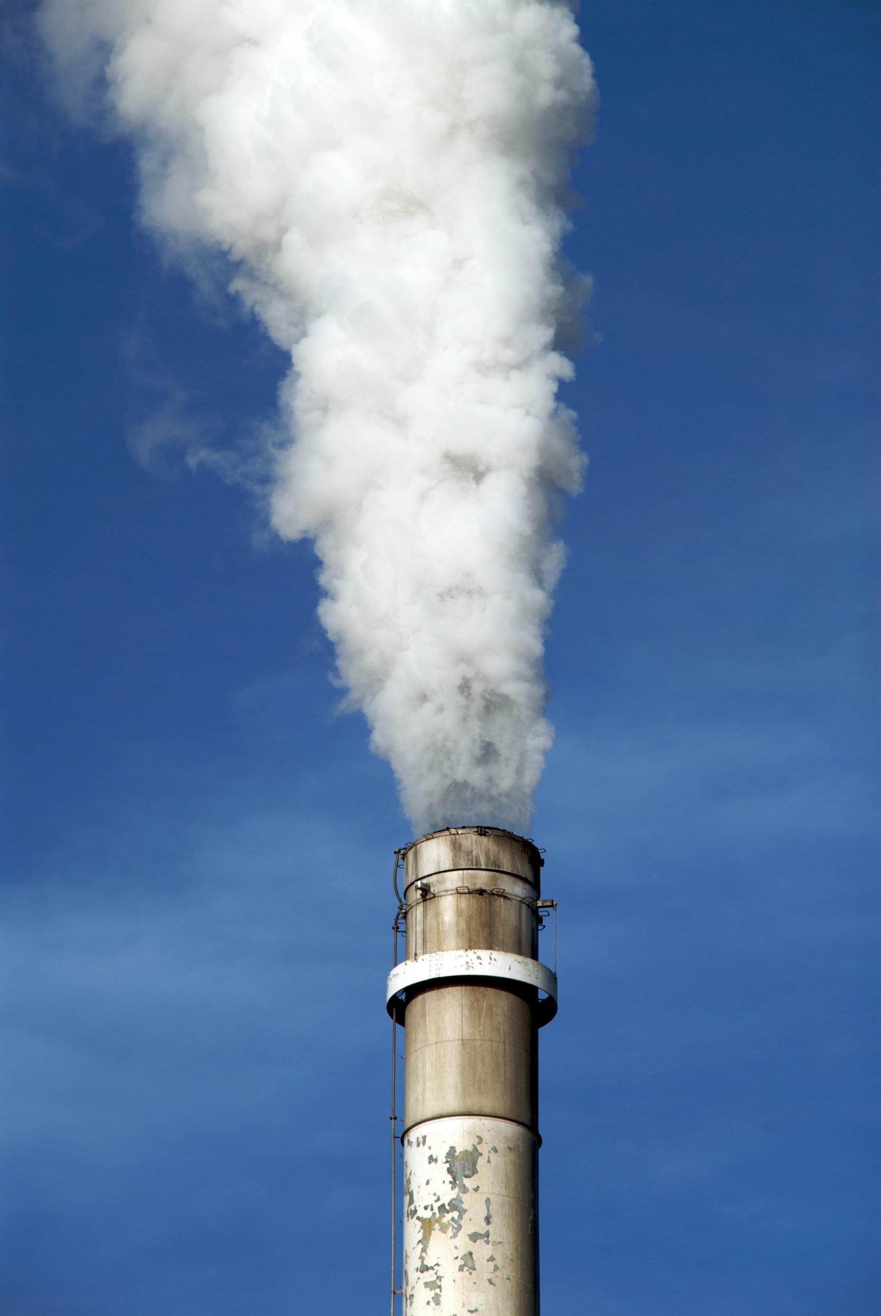 chimenea