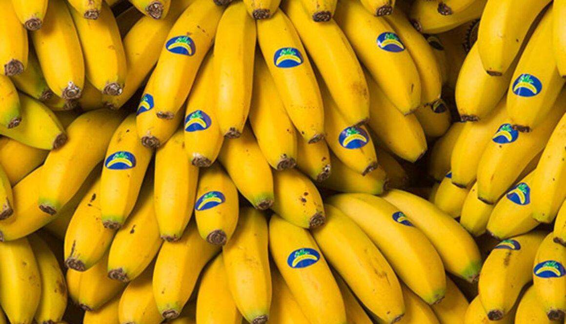 igp-platano