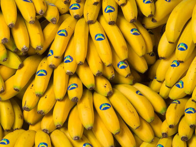 igp-platano