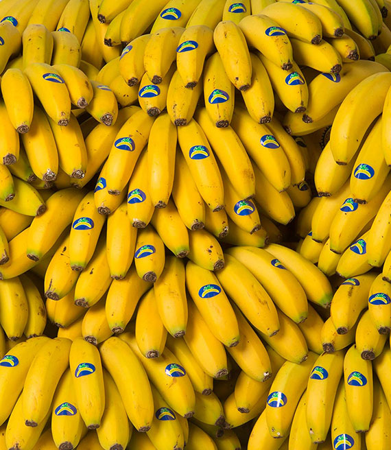 igp-platano