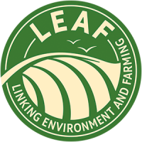 Leaf Marque
