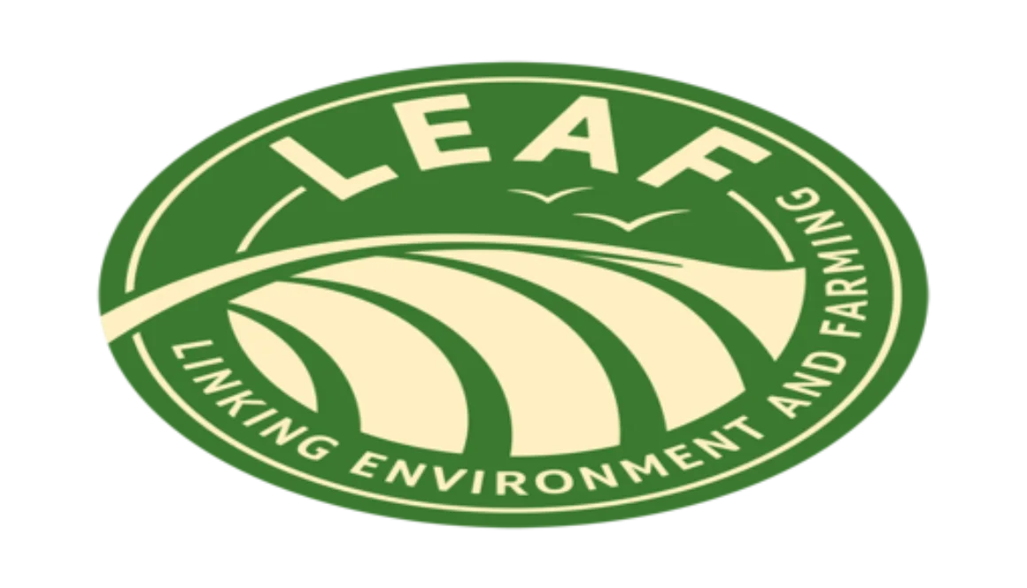 leaf-logo