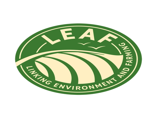 leaf-logo